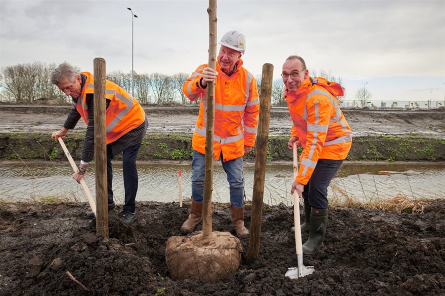 Bericht Eerste bomen geplant ter compensatie aanleg A16 Rotterdam bekijken